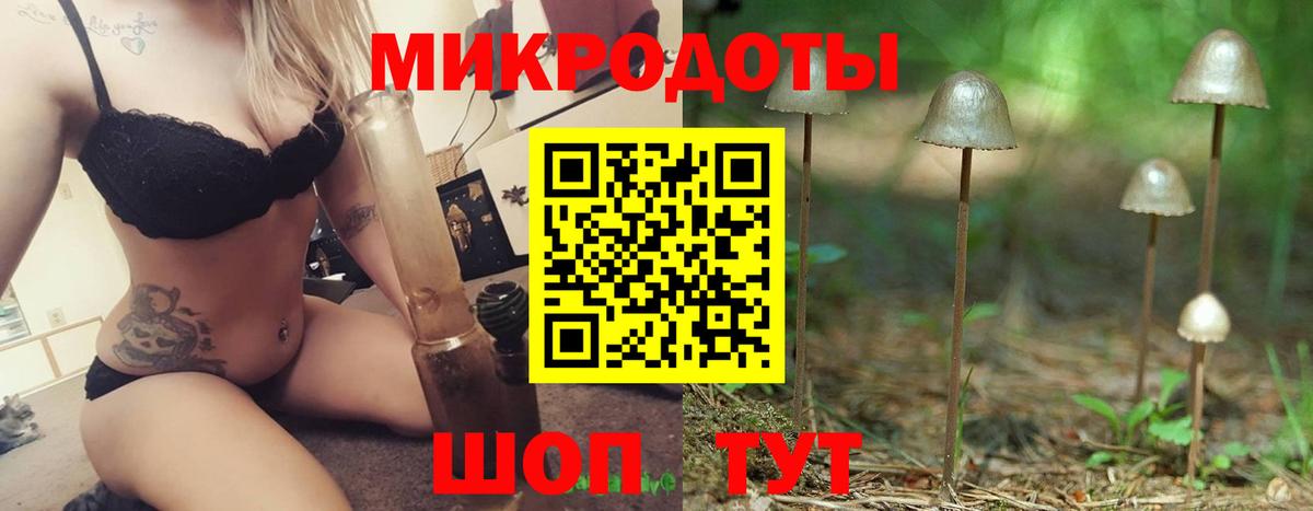 Псилоцибиновые грибы Cubensis Керчь